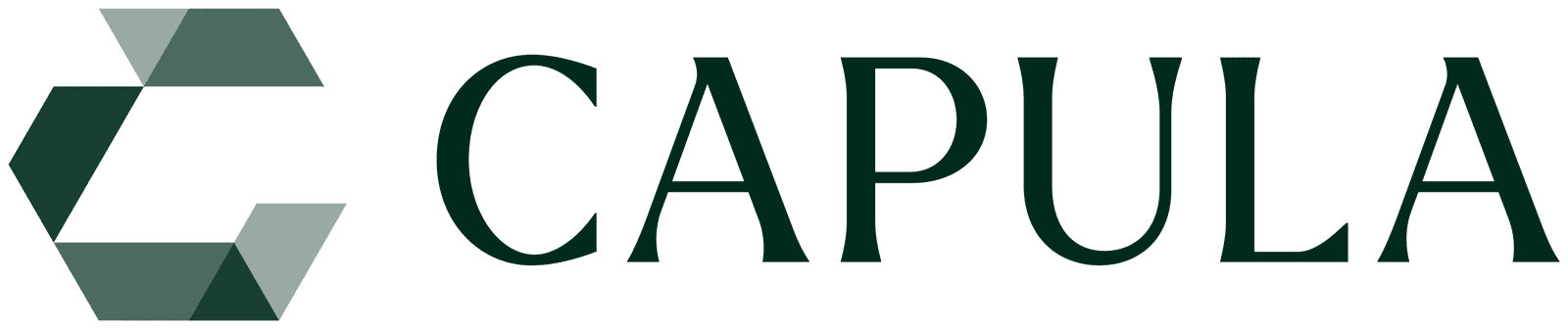 Capula Investment Management